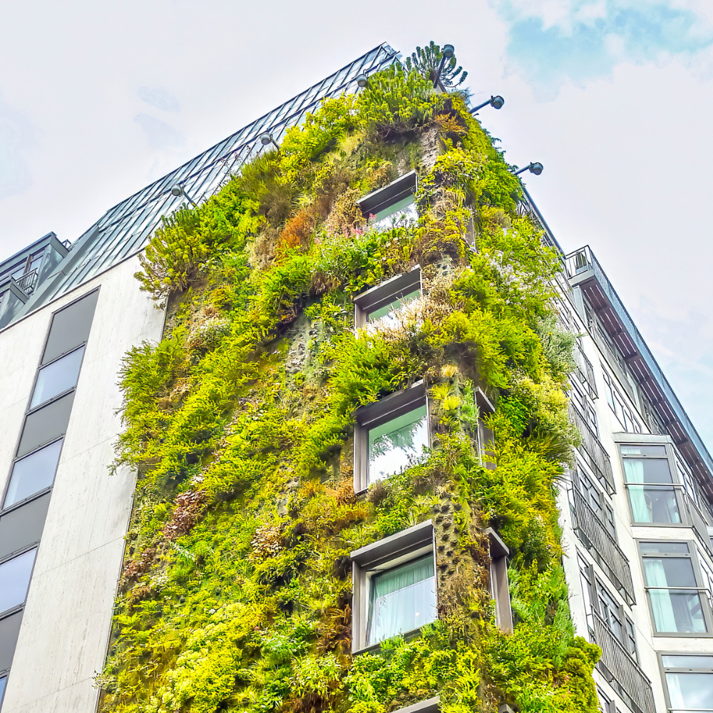 Eco building with moss on outside
